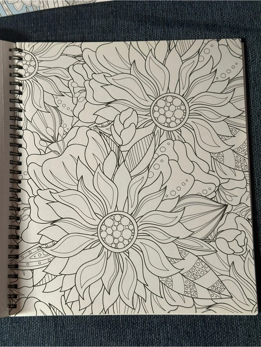 Country Gardens & Garden set of 2 Spiral Bound Adult Coloring
